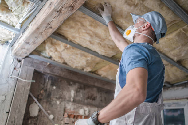 Best Insulation for Specific Applications in Seabrook, MD