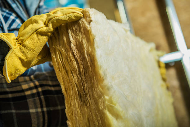 Best Insulation Maintenance and Repair in Seabrook, MD